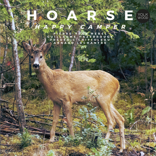 Hoarse