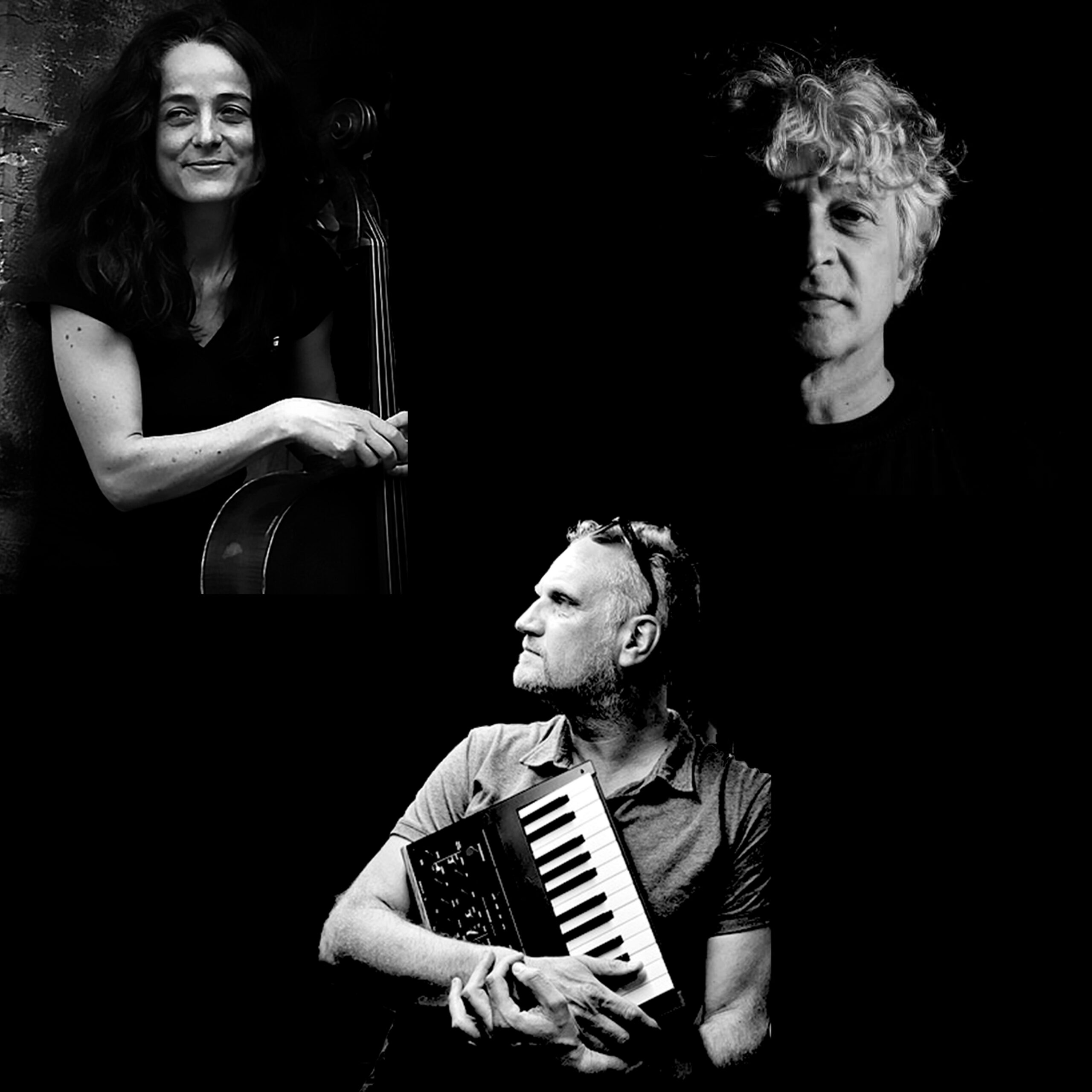 TRIO SOIZIC LEBRAT / OLIVIER THEMINES / GUILLAUME HAZEBROUCK 